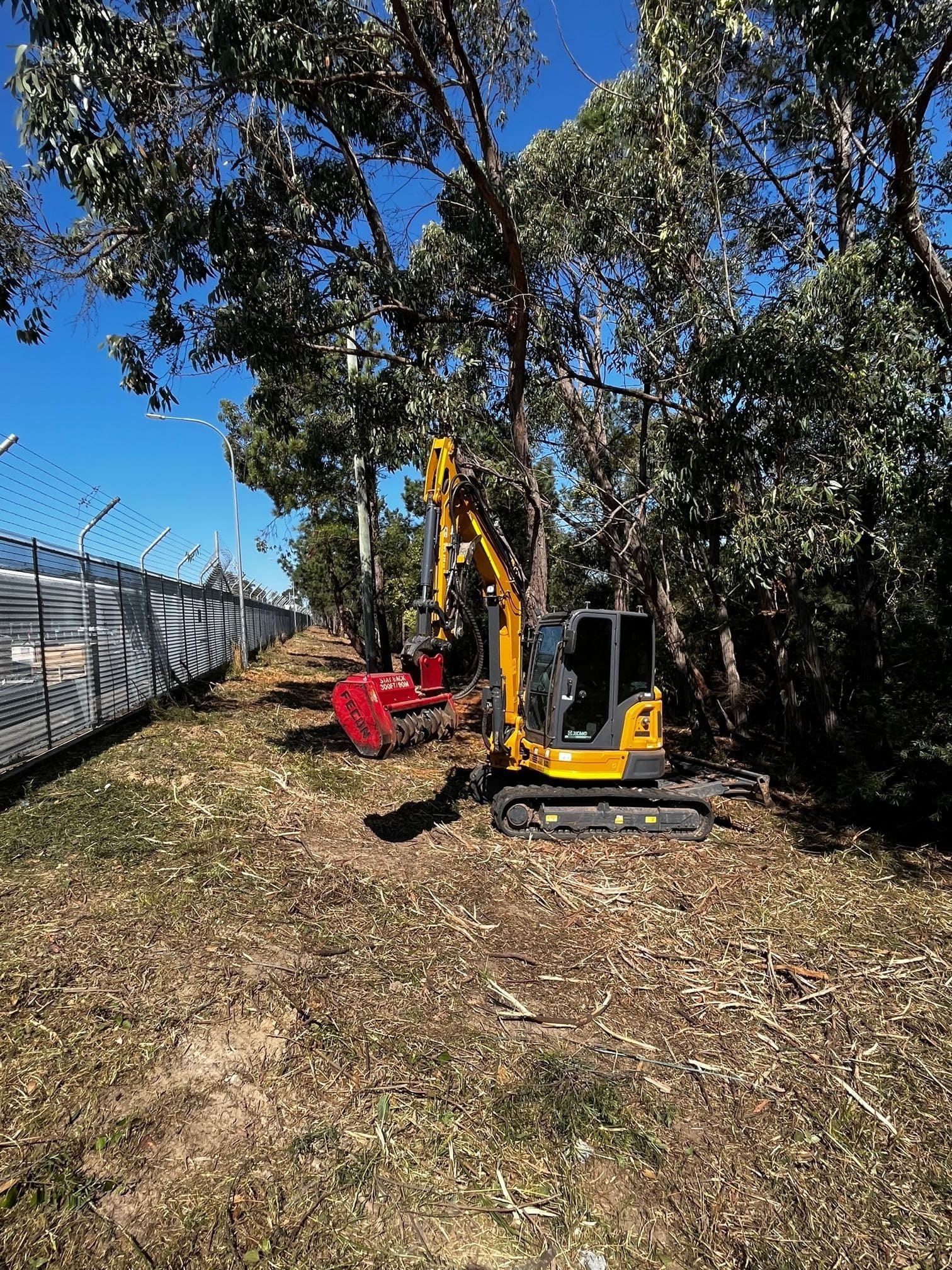 vegetation management