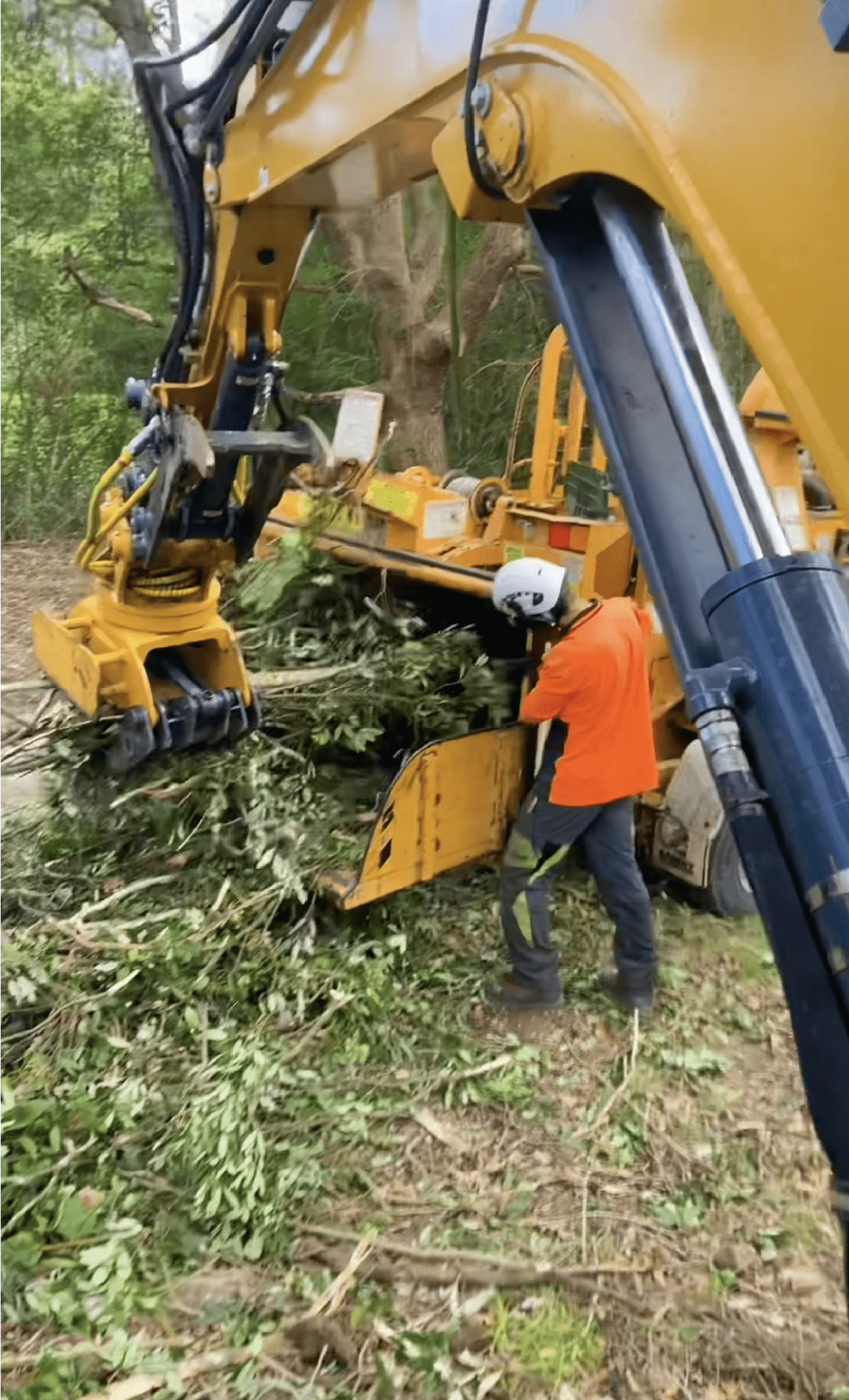 acreage clean up