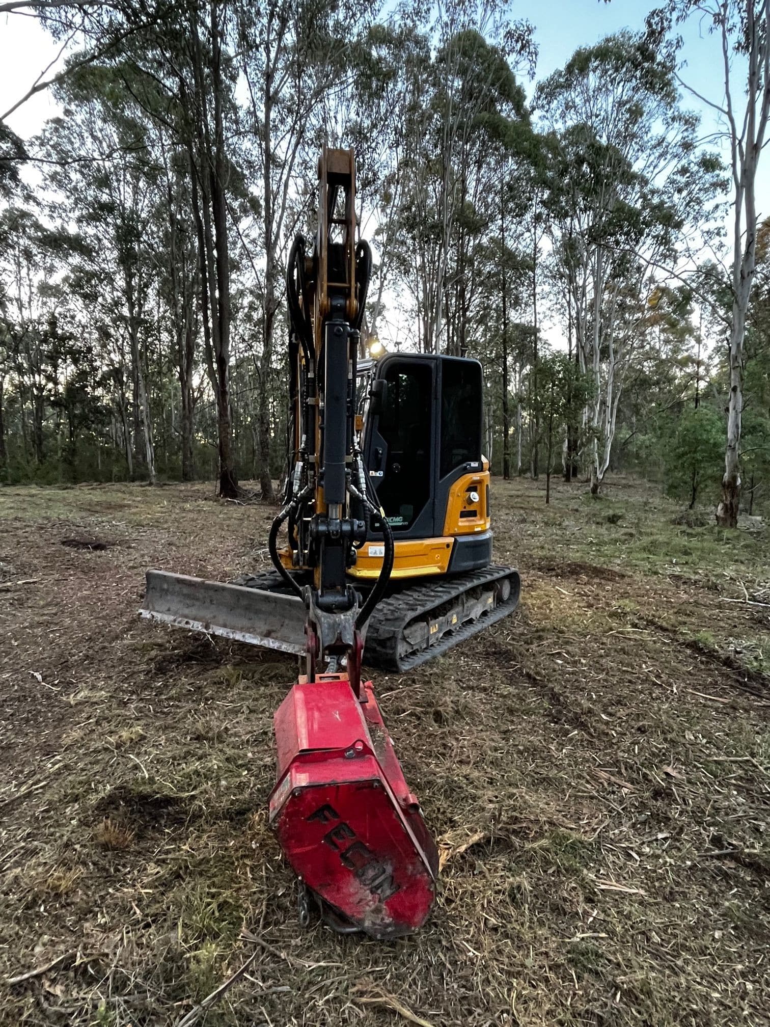 olive grove mulching