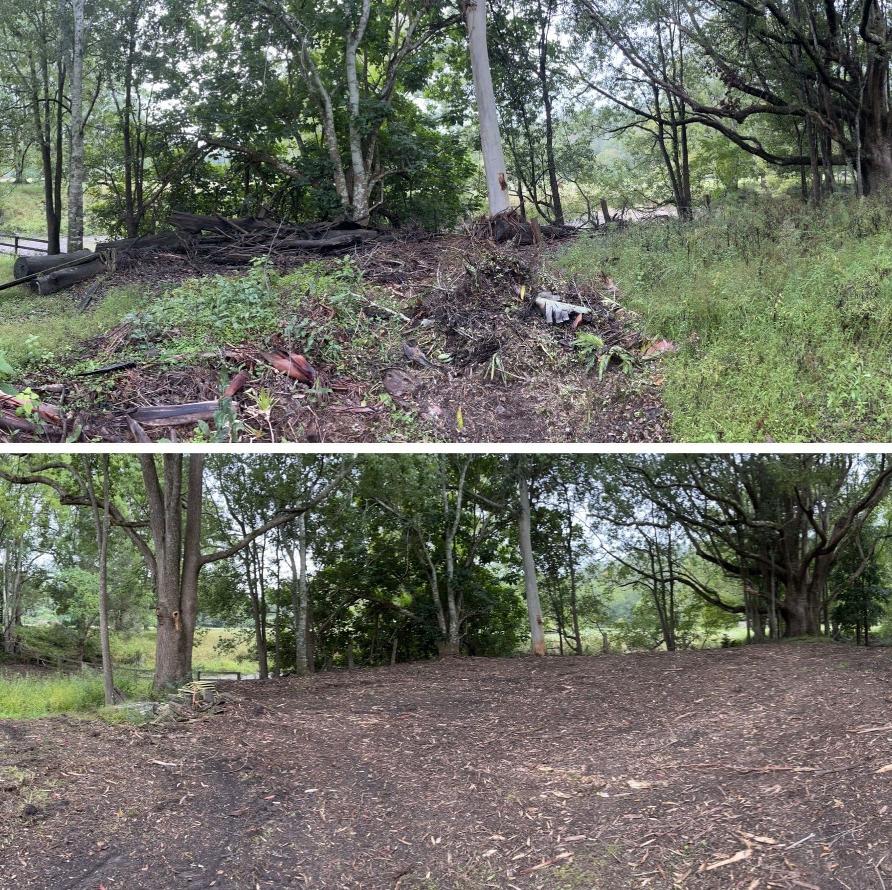 forestry mulching