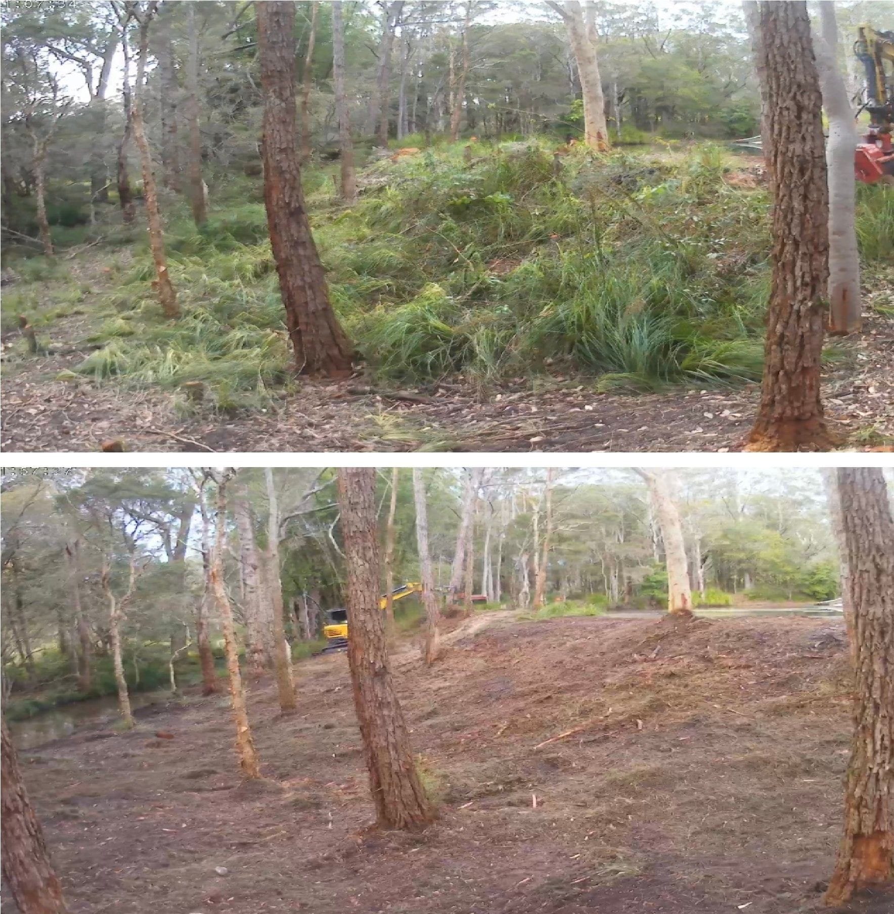 site remediation