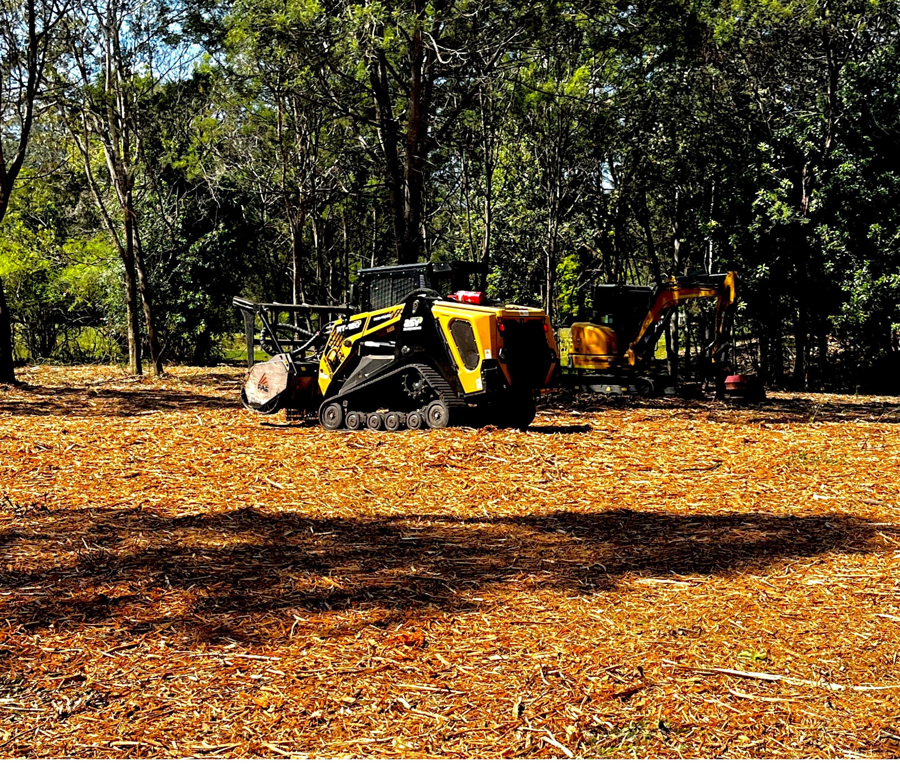 vegetation management