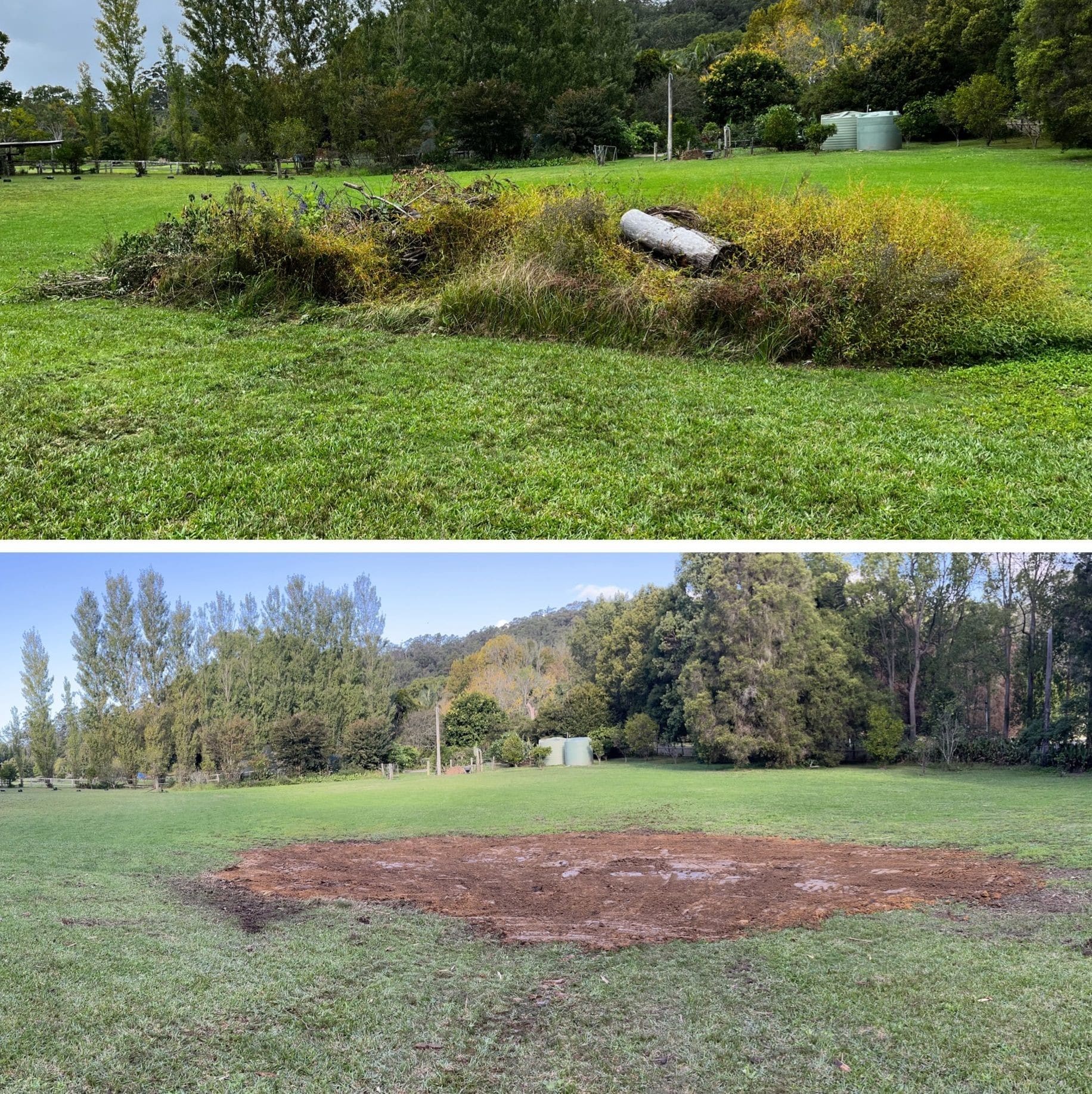 vegetation management