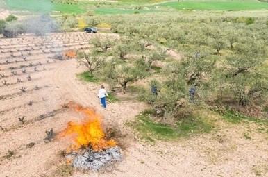 fire hazard reduction