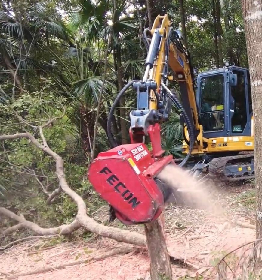 forestry mulching