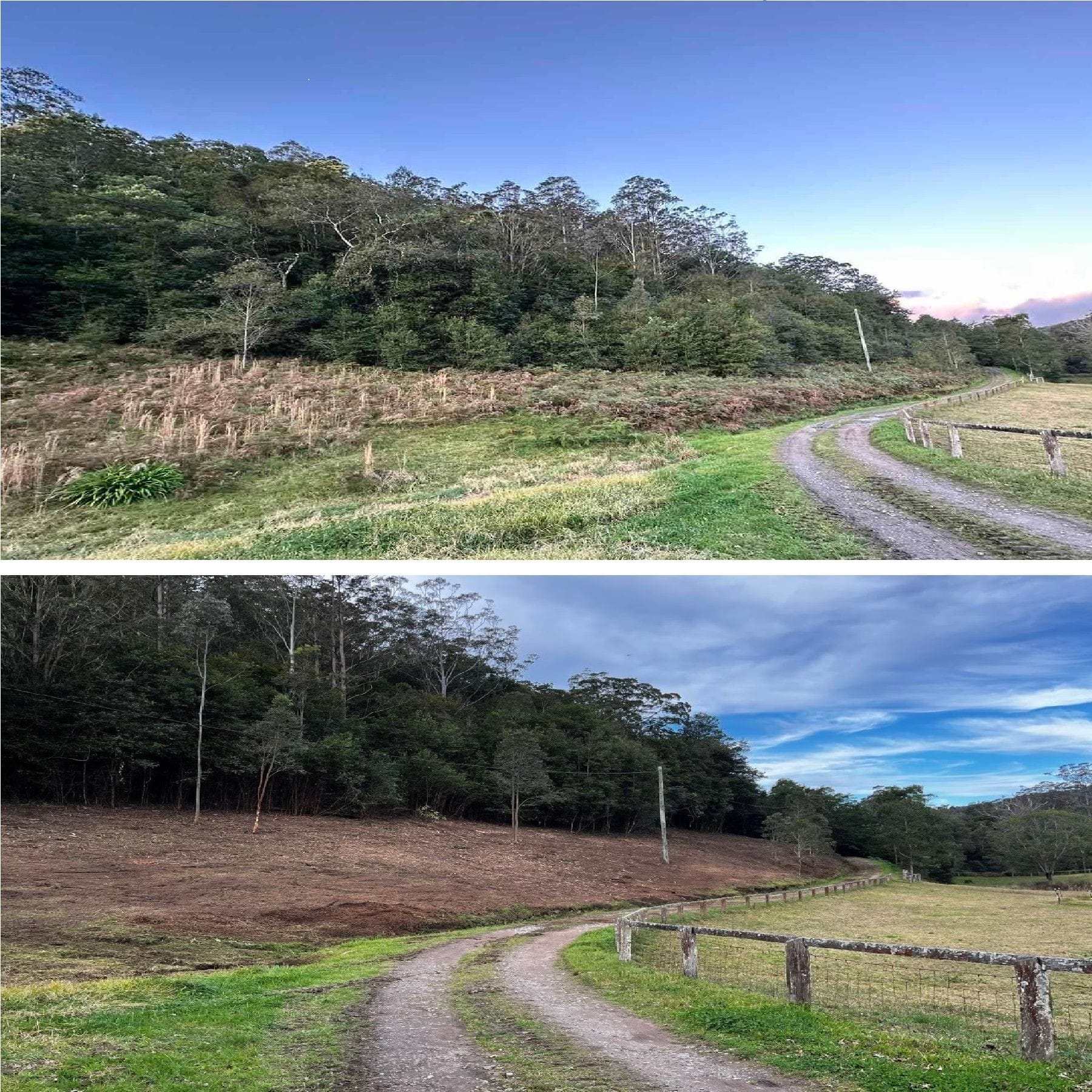 land clearing management
