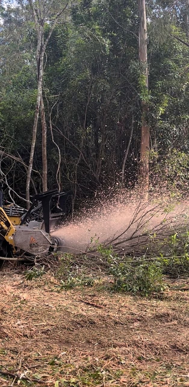 land clearing management