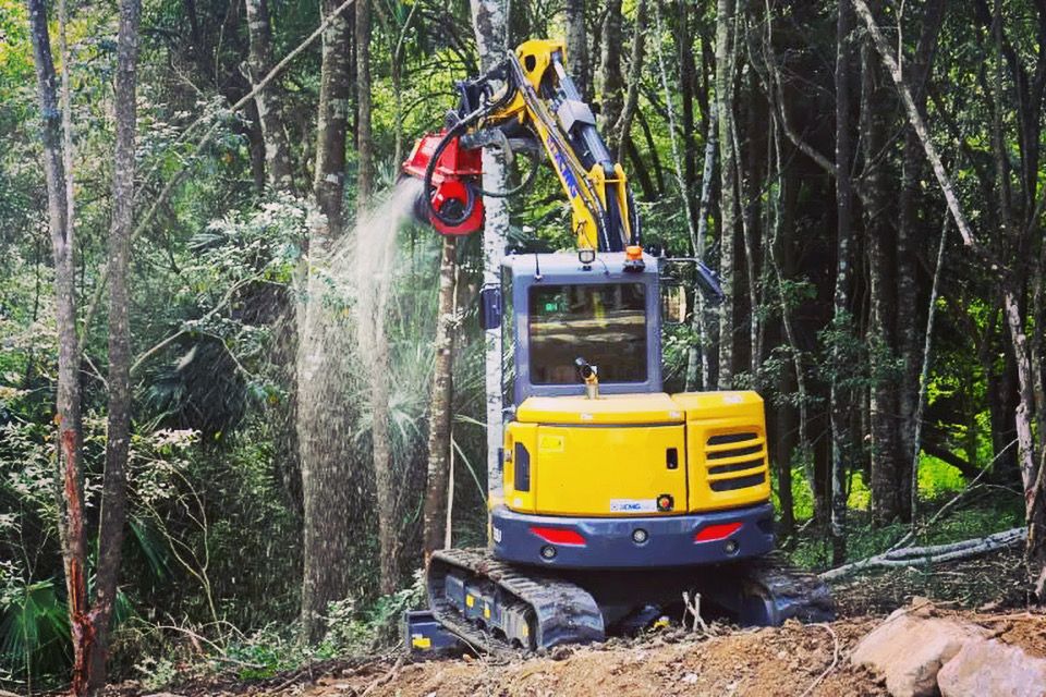 vegetation management control