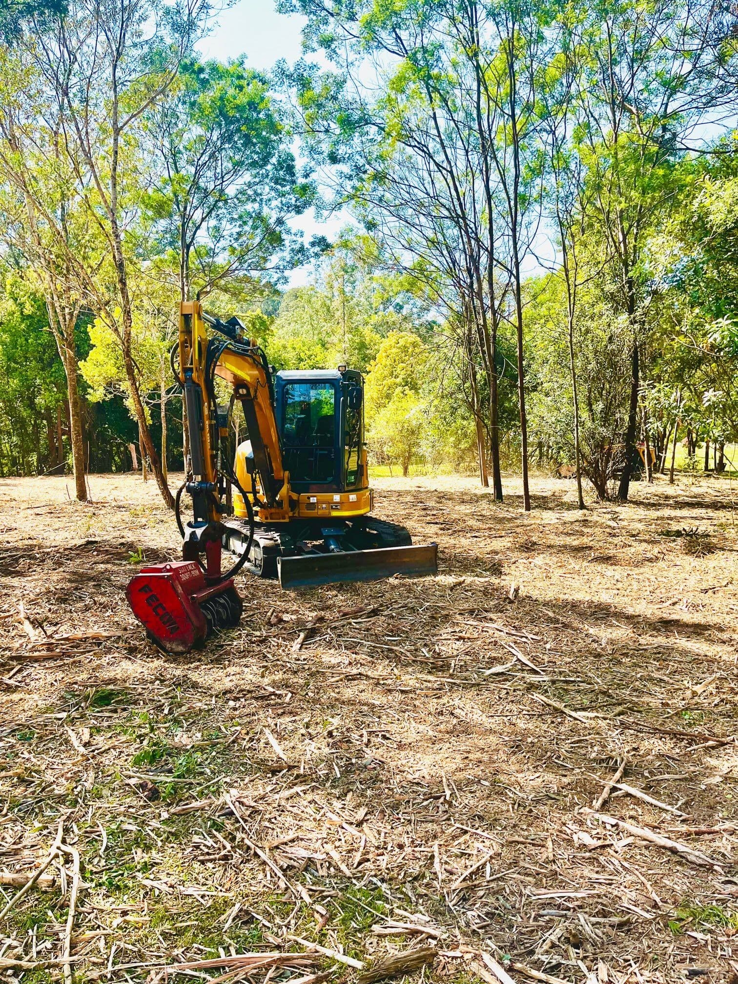 vegetation management