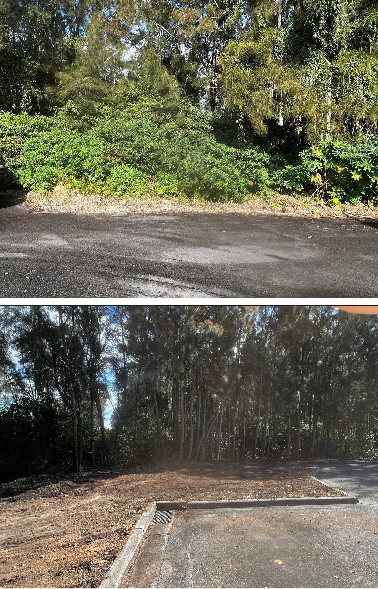 land clearing services